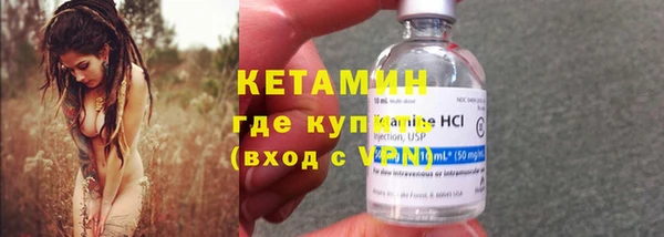 прущие грибы Бородино
