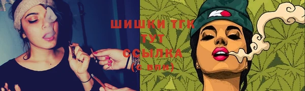 прущие грибы Бородино