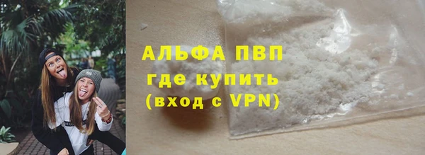 индика Бугульма