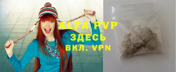 индика Бугульма