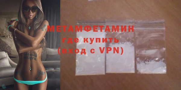 прущие грибы Бородино