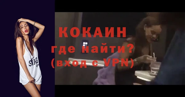 шишки Верея