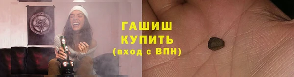 шишки Верея