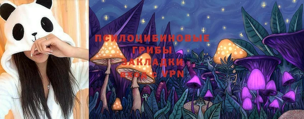 ешки Верхний Тагил