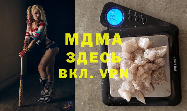 прущие грибы Бородино