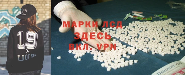 прущие грибы Бородино