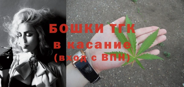 прущие грибы Бородино
