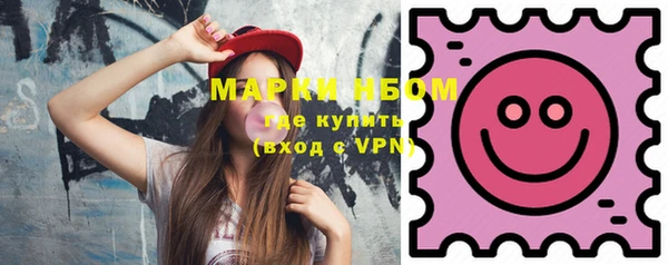 прущие грибы Бородино