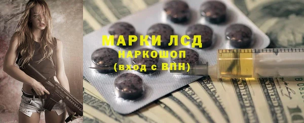 индика Бугульма