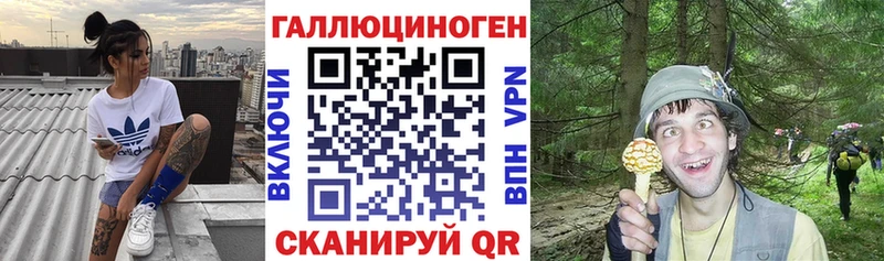 дарнет шоп  ОМГ ОМГ tor  Галлюциногенные грибы Psilocybe  Прокопьевск 